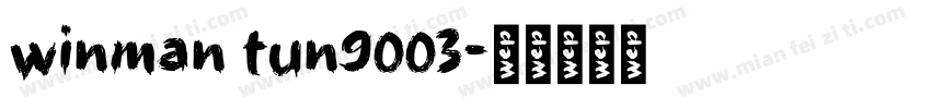 winman tun9003字体转换